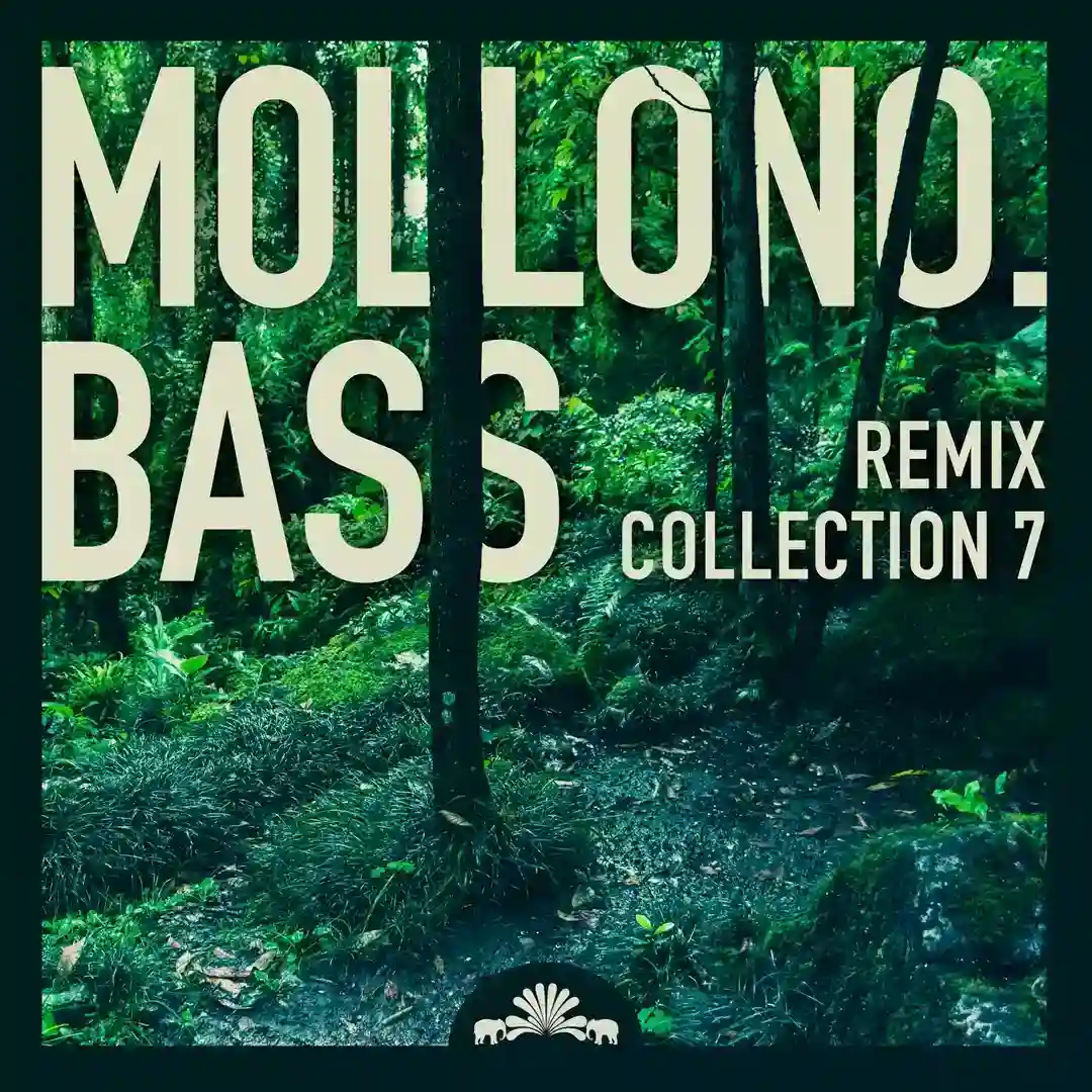 Aldeapolis (Mollono.Bass Remix) cover