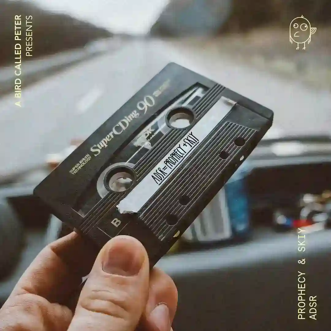 ADSR (Extended Mix) cover