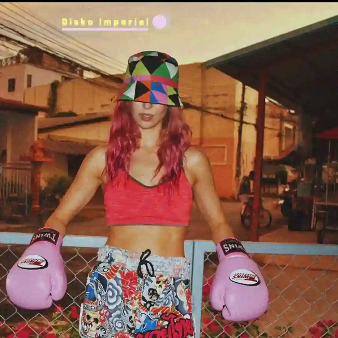 Disko Imperial (Original Mix) cover