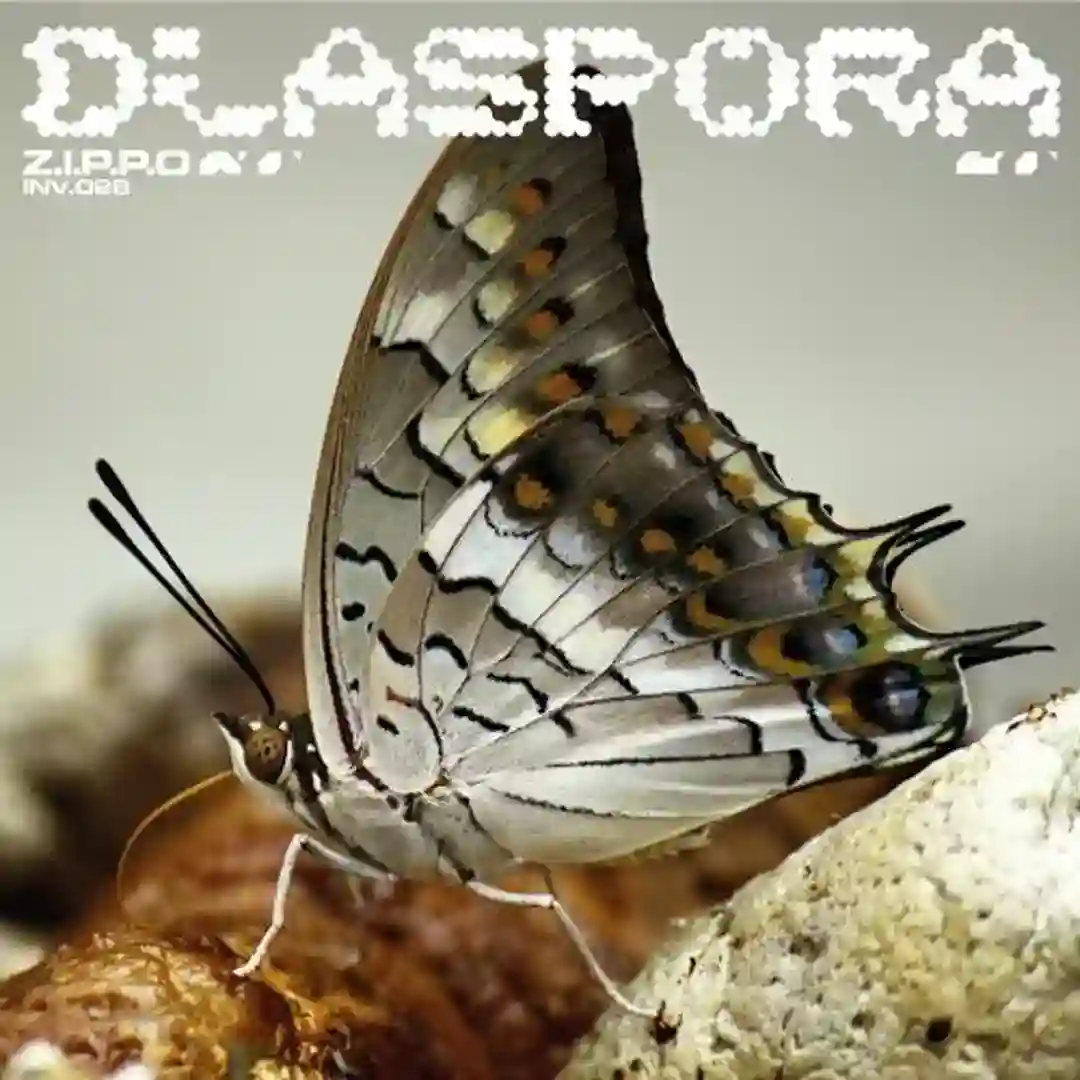 Hgroove (Original Mix) cover