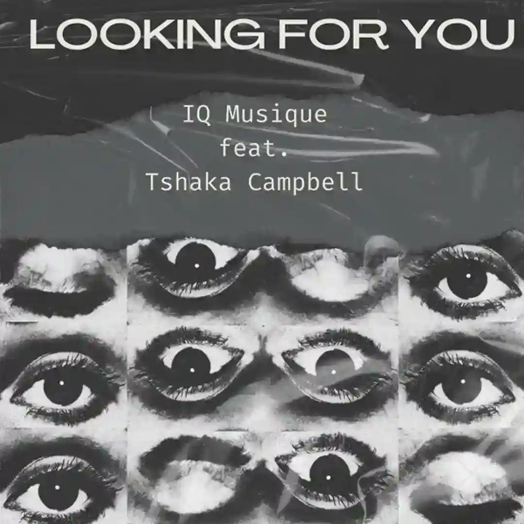 Looking For You (Deep Vox Mix) cover