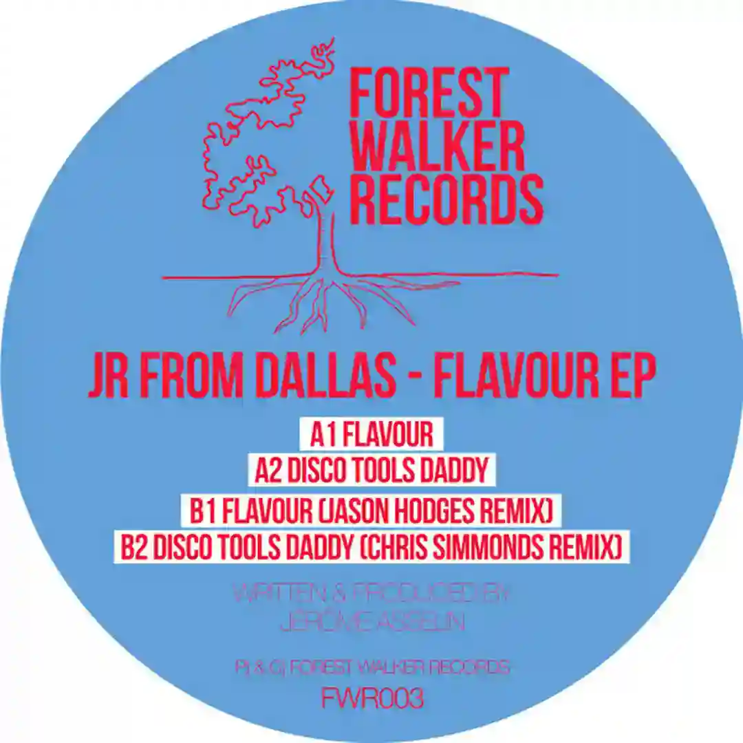 Flavour (Hodges' TDOT Flava Remix) cover