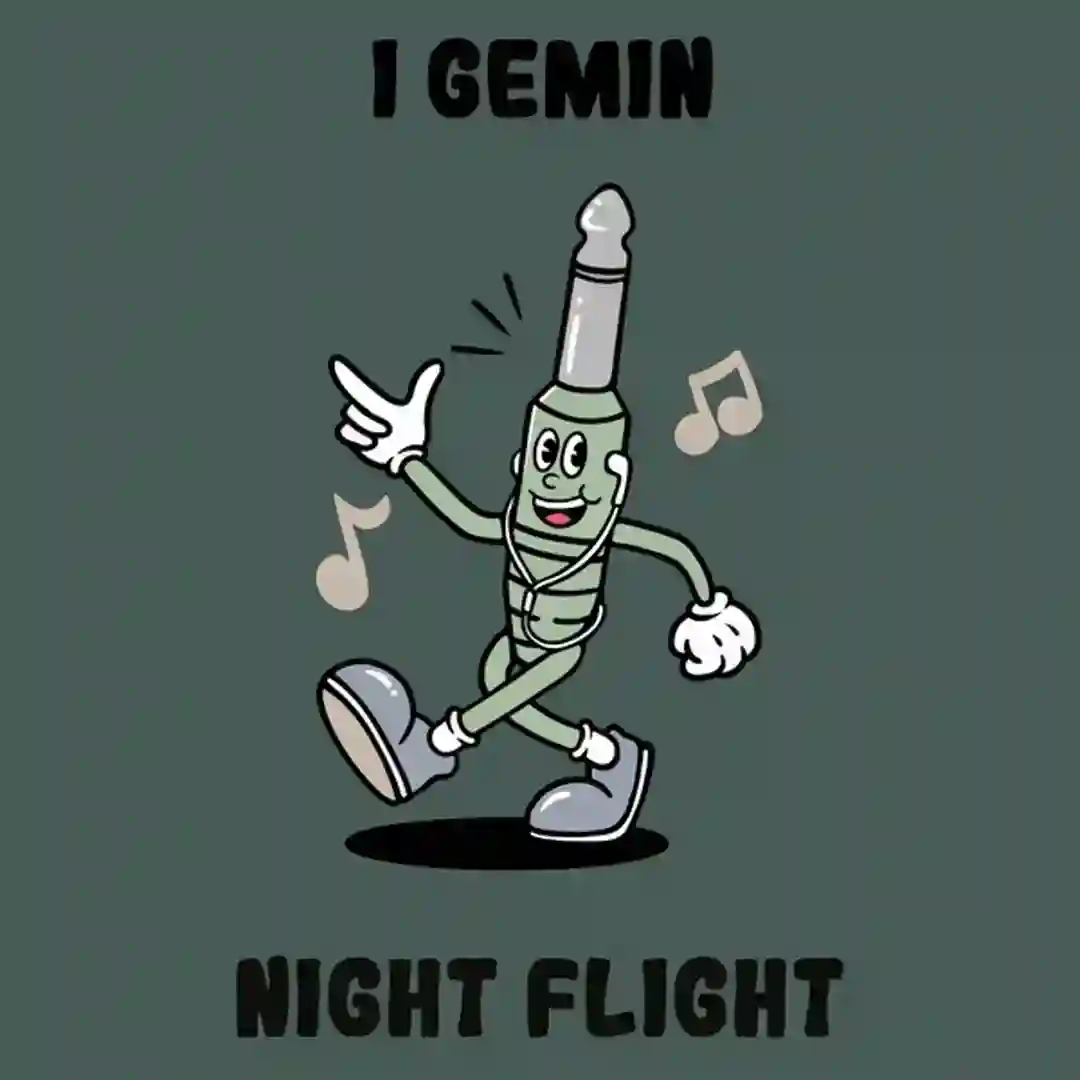 Night Flight cover