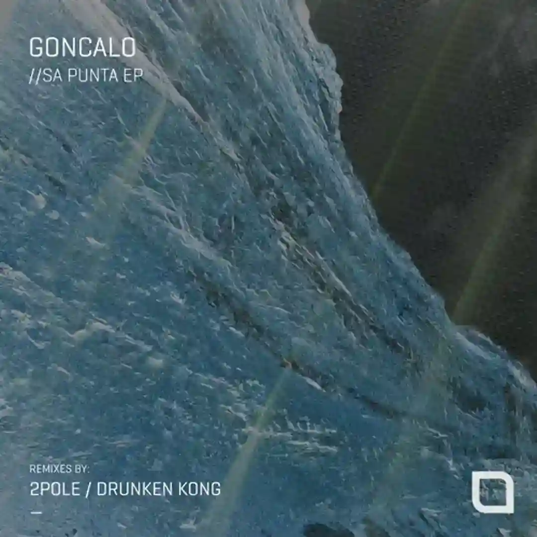 Sa Punta (2pole Remix) cover