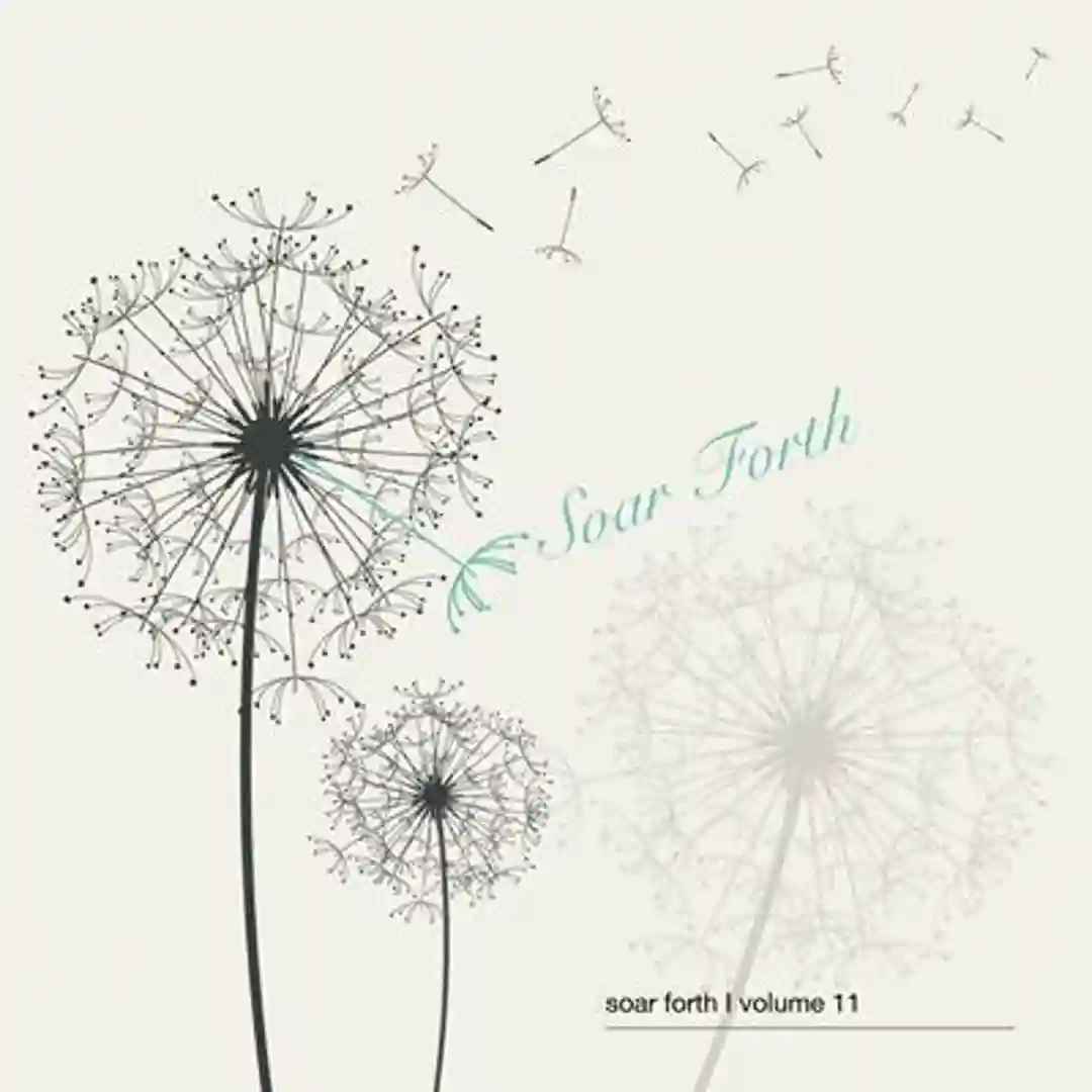 Evergreen cover