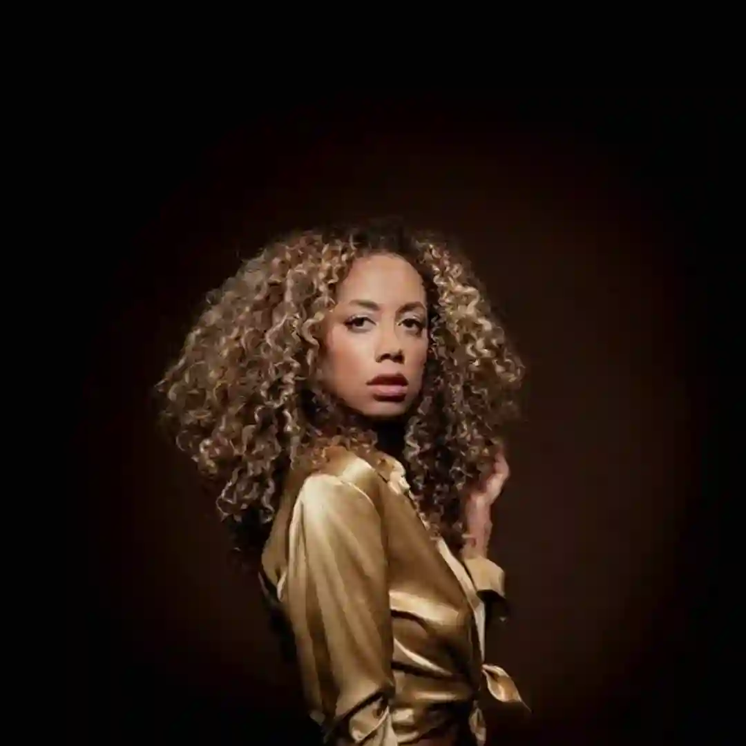 Stanley's Get Down (No Parking on the DF) (Honey Dijon Remix) (Instrumental) cover