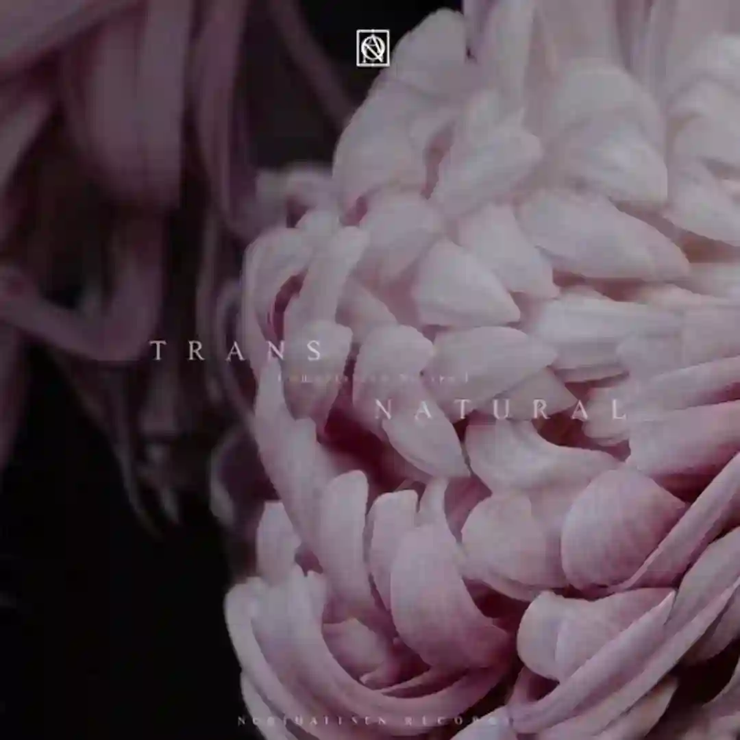 Transnatural Compilation Series I cover