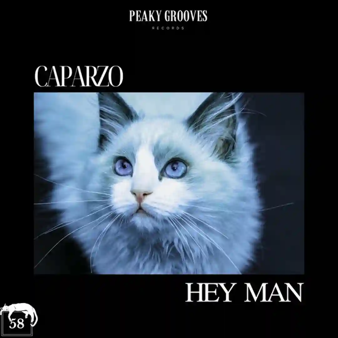 Hey Man (Radio Edit) cover