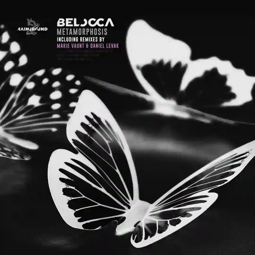Metamorphosis (Daniel Levak Remix) cover