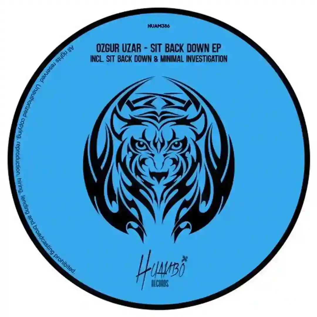 Minimal Investigation (Original Mix) cover