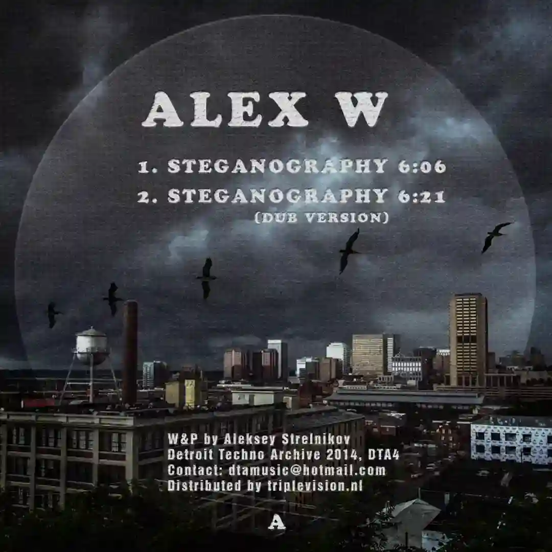 Steganography (Dub Version) cover