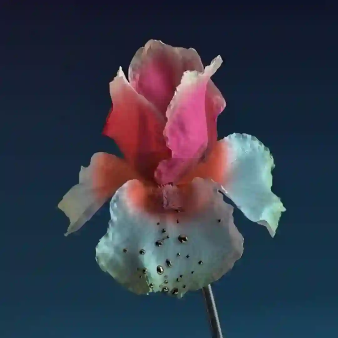 Numb & Getting Colder (Baauer Remix) cover