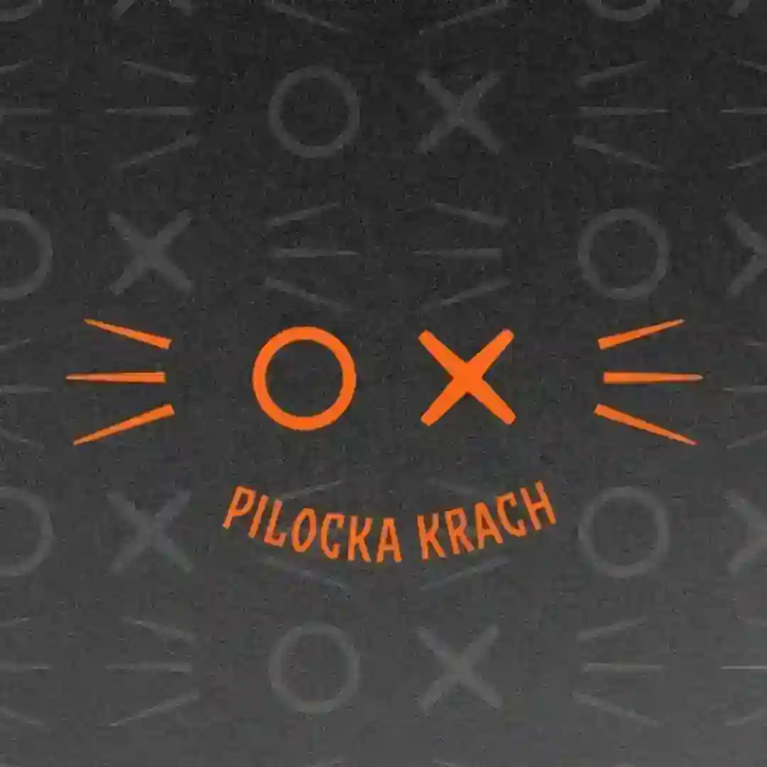 Dogs Are In This House (Sacha Robotti Remix) cover