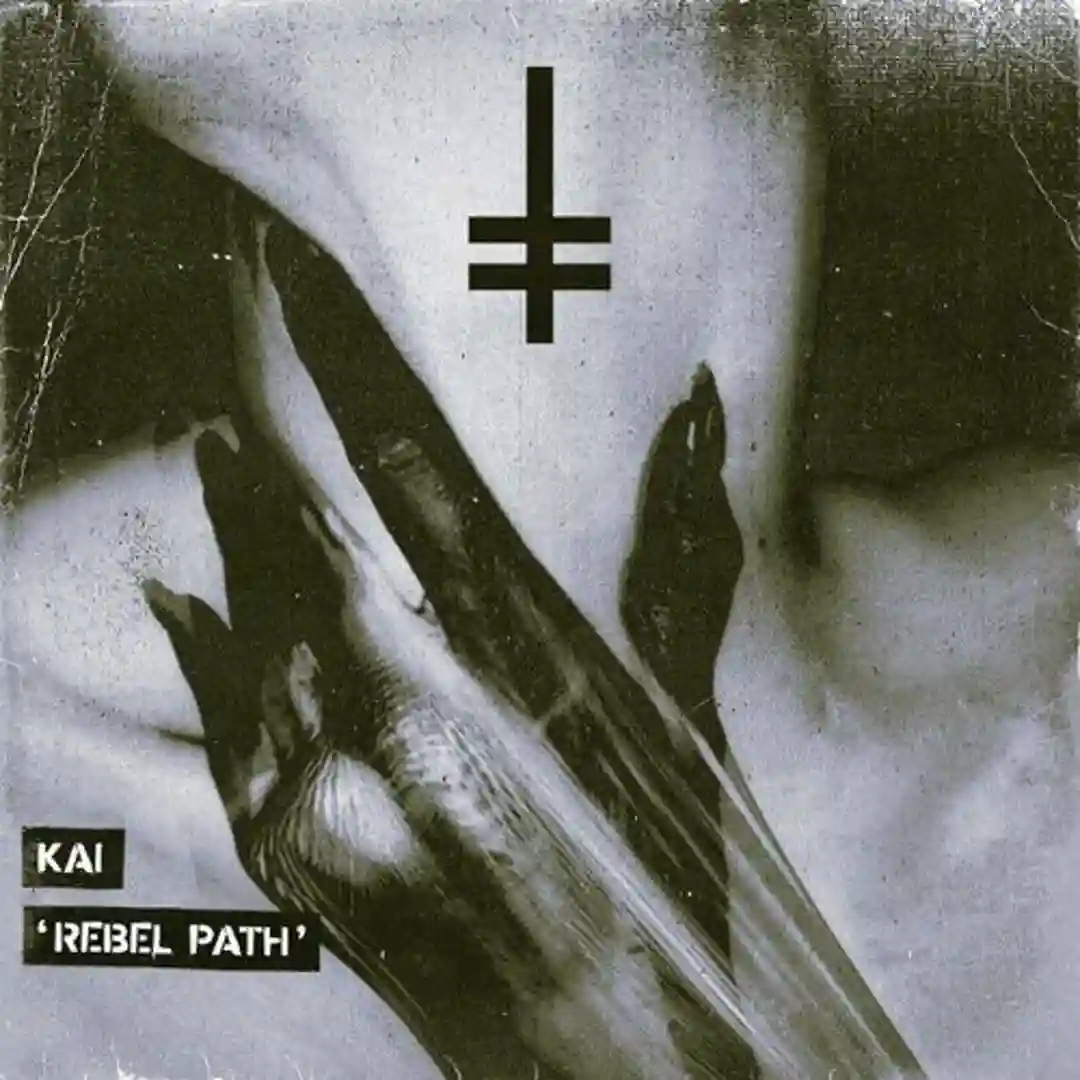 Rebel Path cover