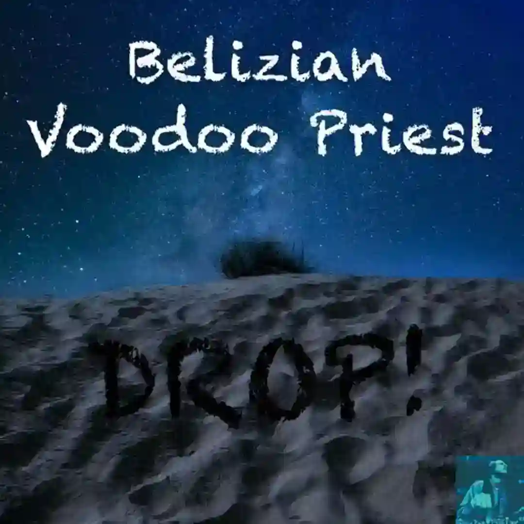 DROP! (BVP Drum God Mix) cover