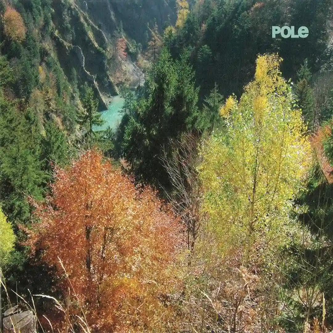 Myzel cover
