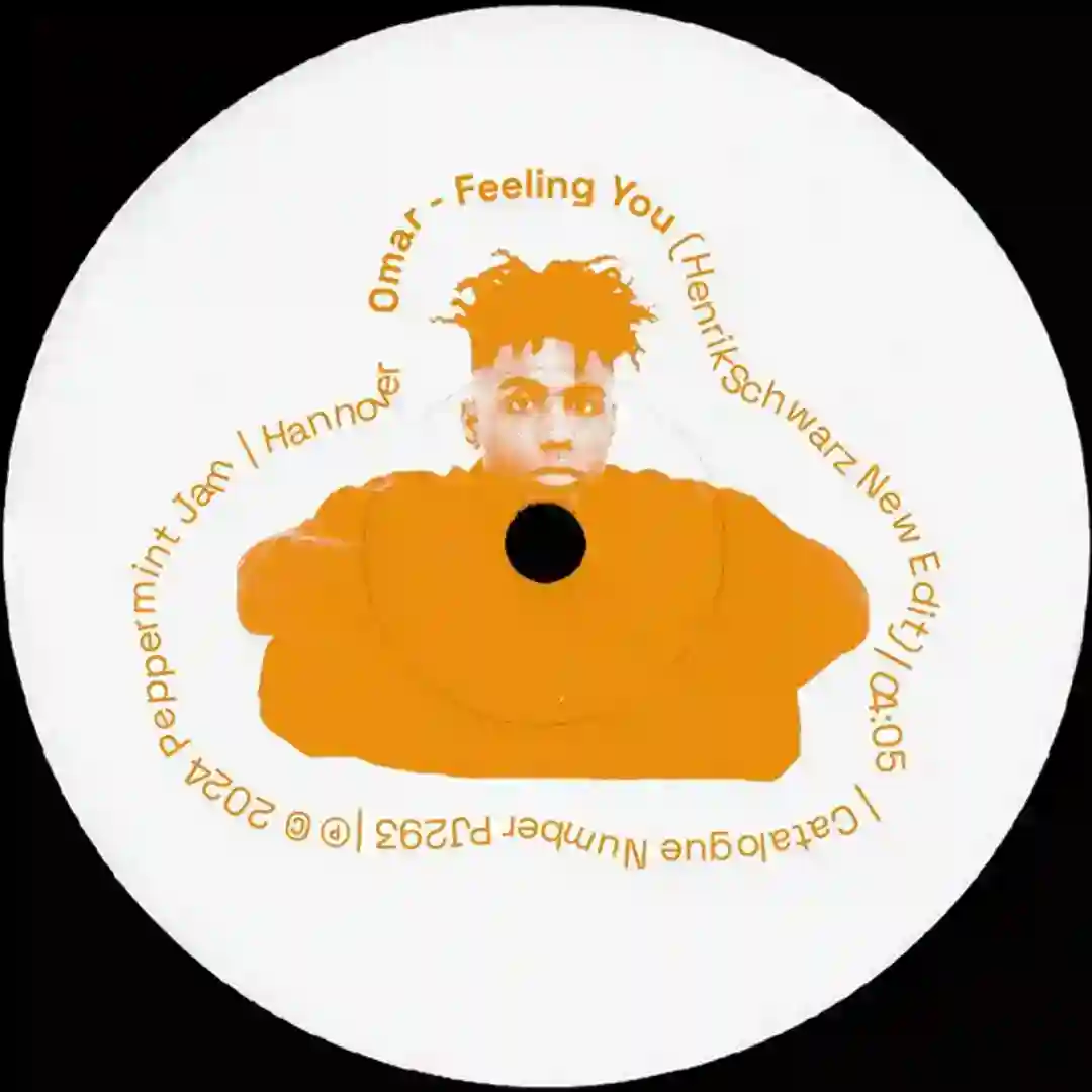 Feeling You (Henrik Schwarz New Edit) cover