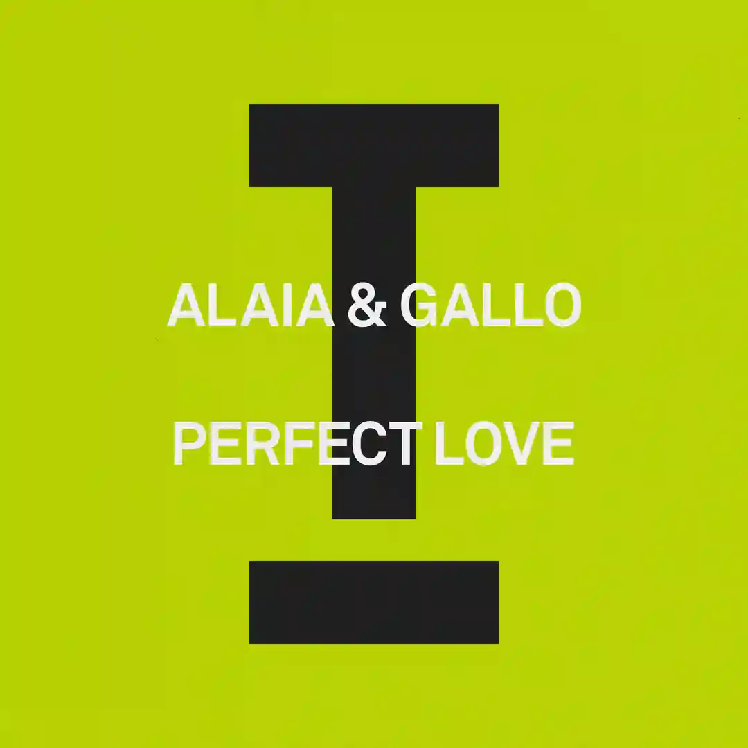 Perfect Love (Extended Mix) cover