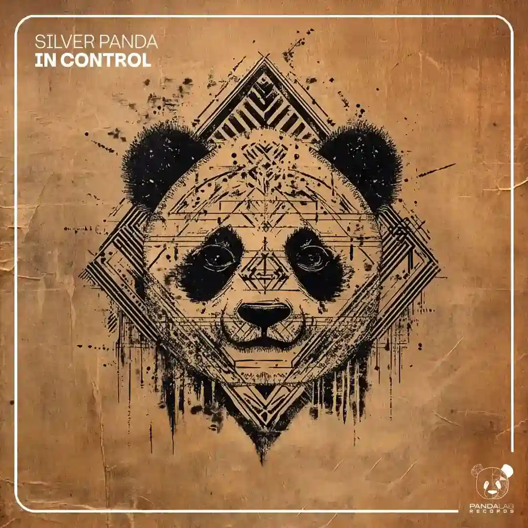 In Control cover