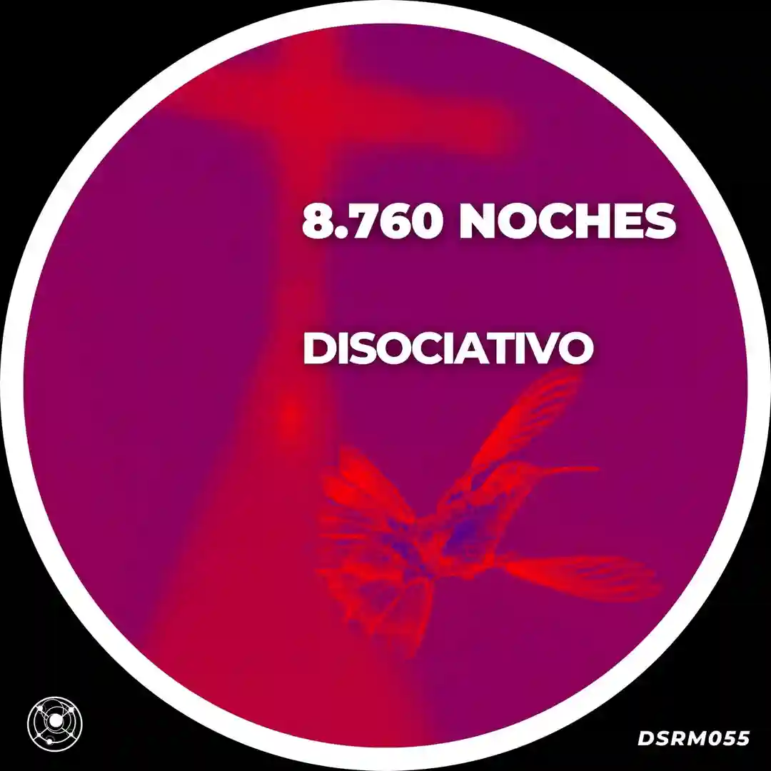 8.760 Noches (Original Mix) cover