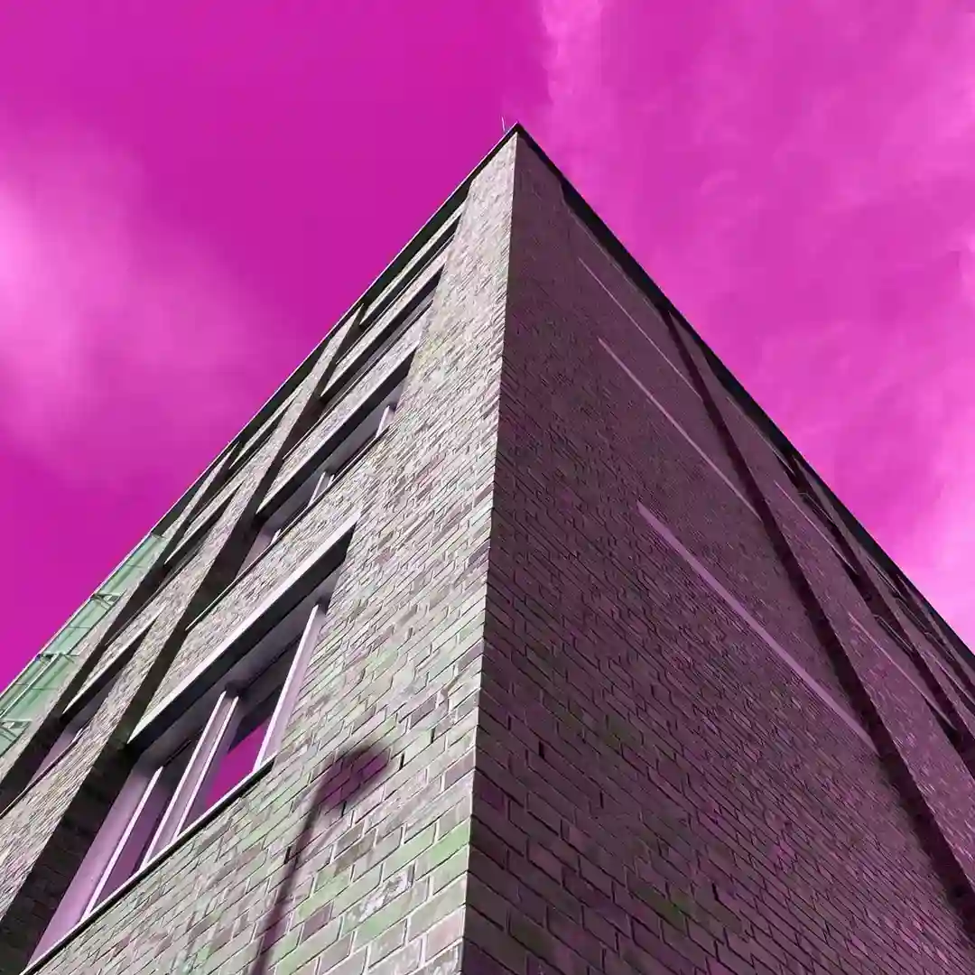 Trigger Warning (Original Mix) cover