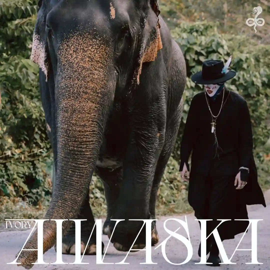 Ivory cover