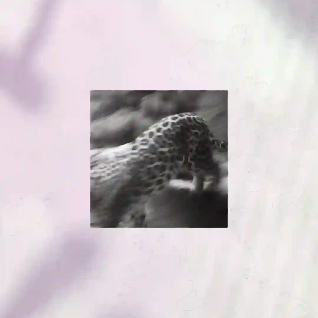 Minucioso cover