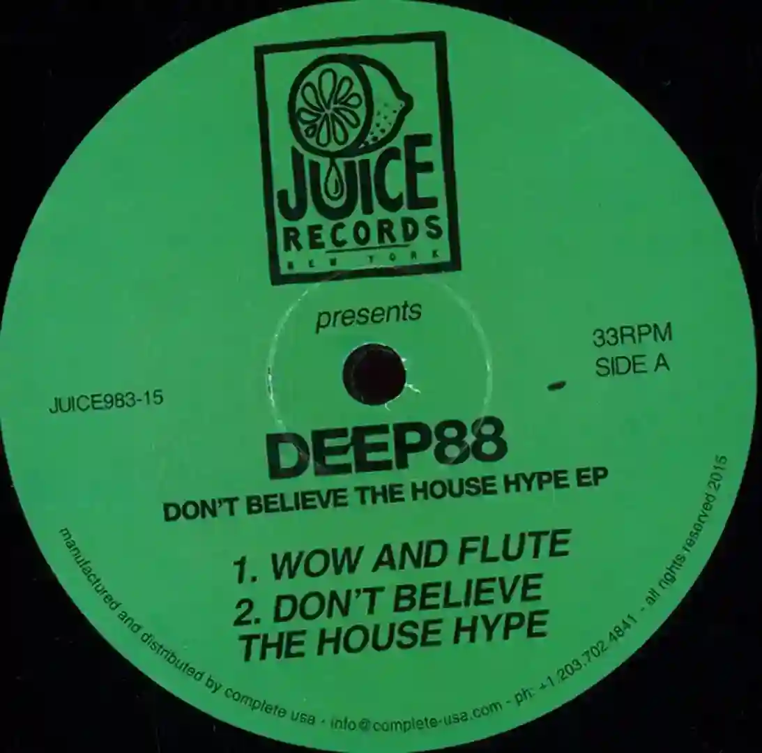Don't Believe The House Hype cover