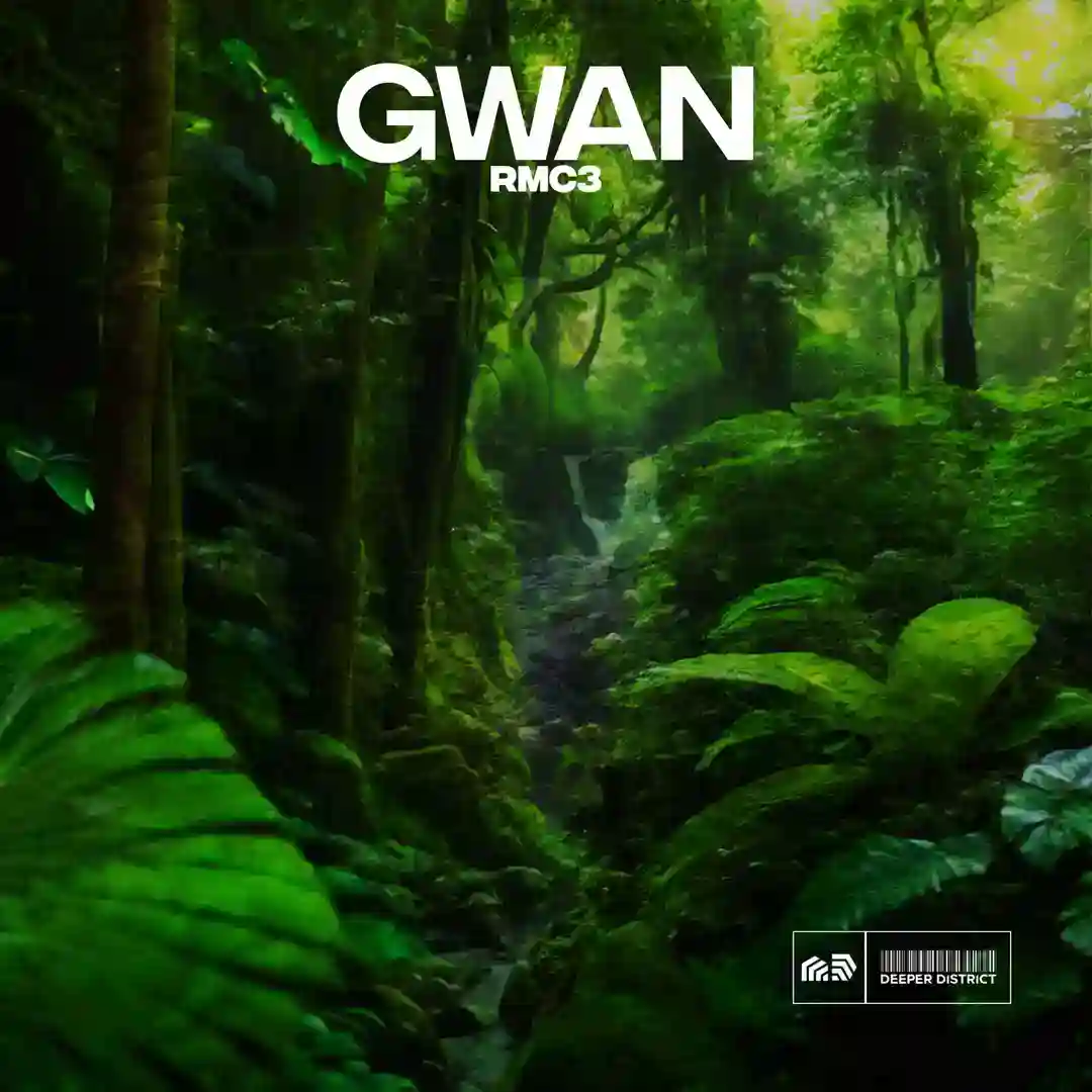 Gwan (Extended Mix) cover