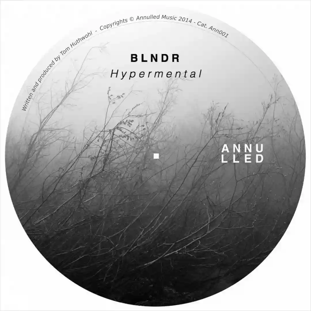 HyperMental (Calming Strobe Mix) cover