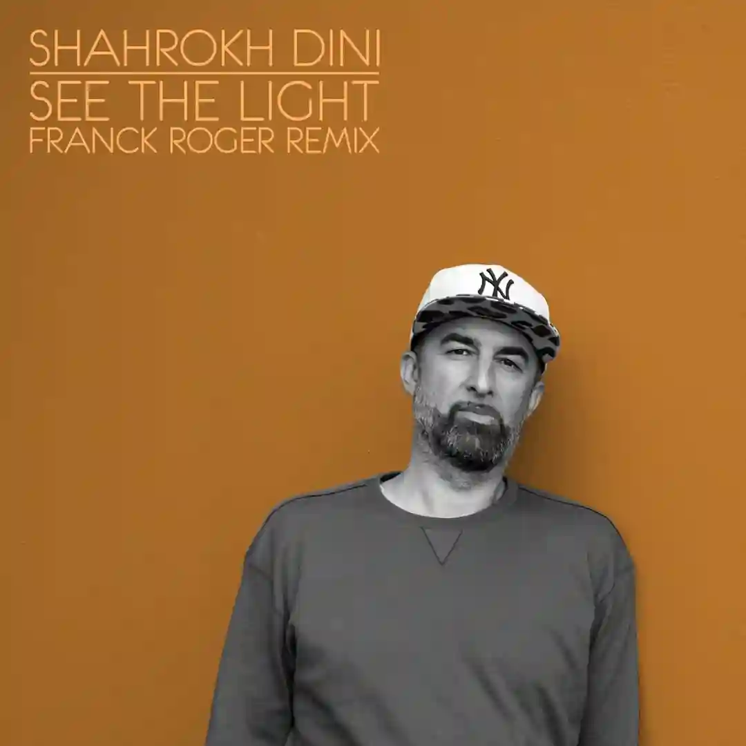 See The Light (Franck Roger's Earthrumental Mix Remix) (2025 Edit) cover