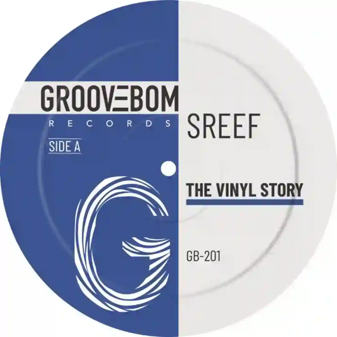 The Vinyl Story cover