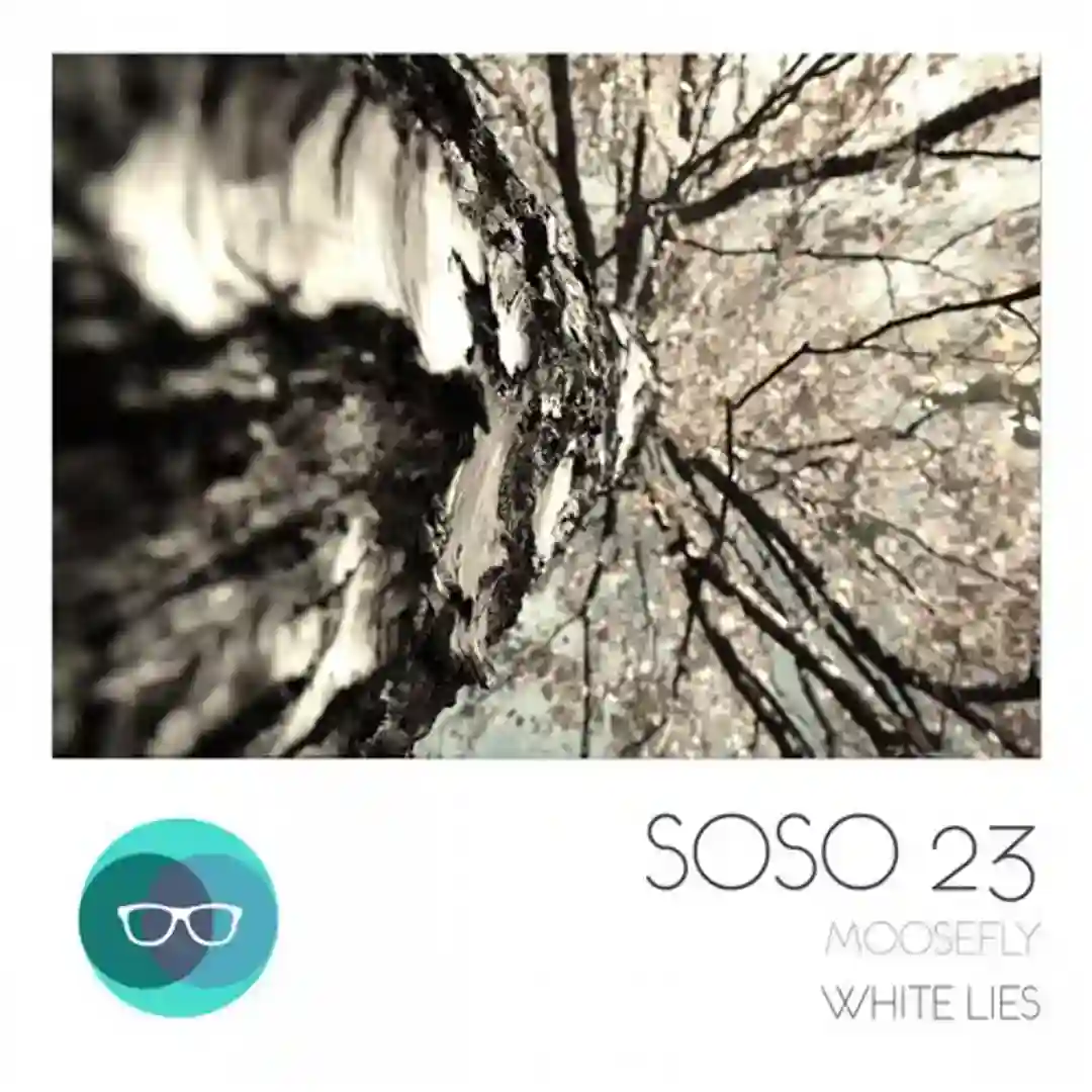 White Lies (Original Mix) cover