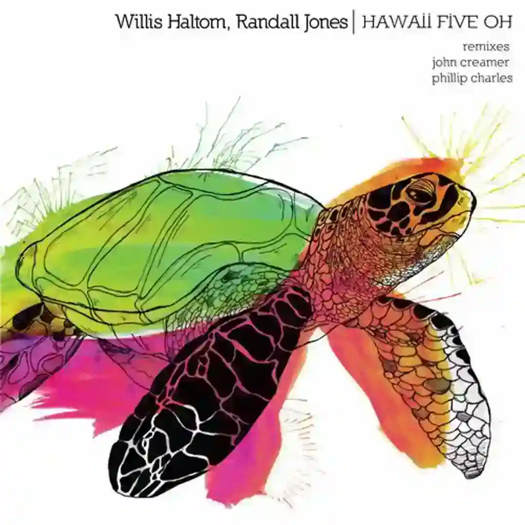 Hawaii Five Oh (Original Mix) cover