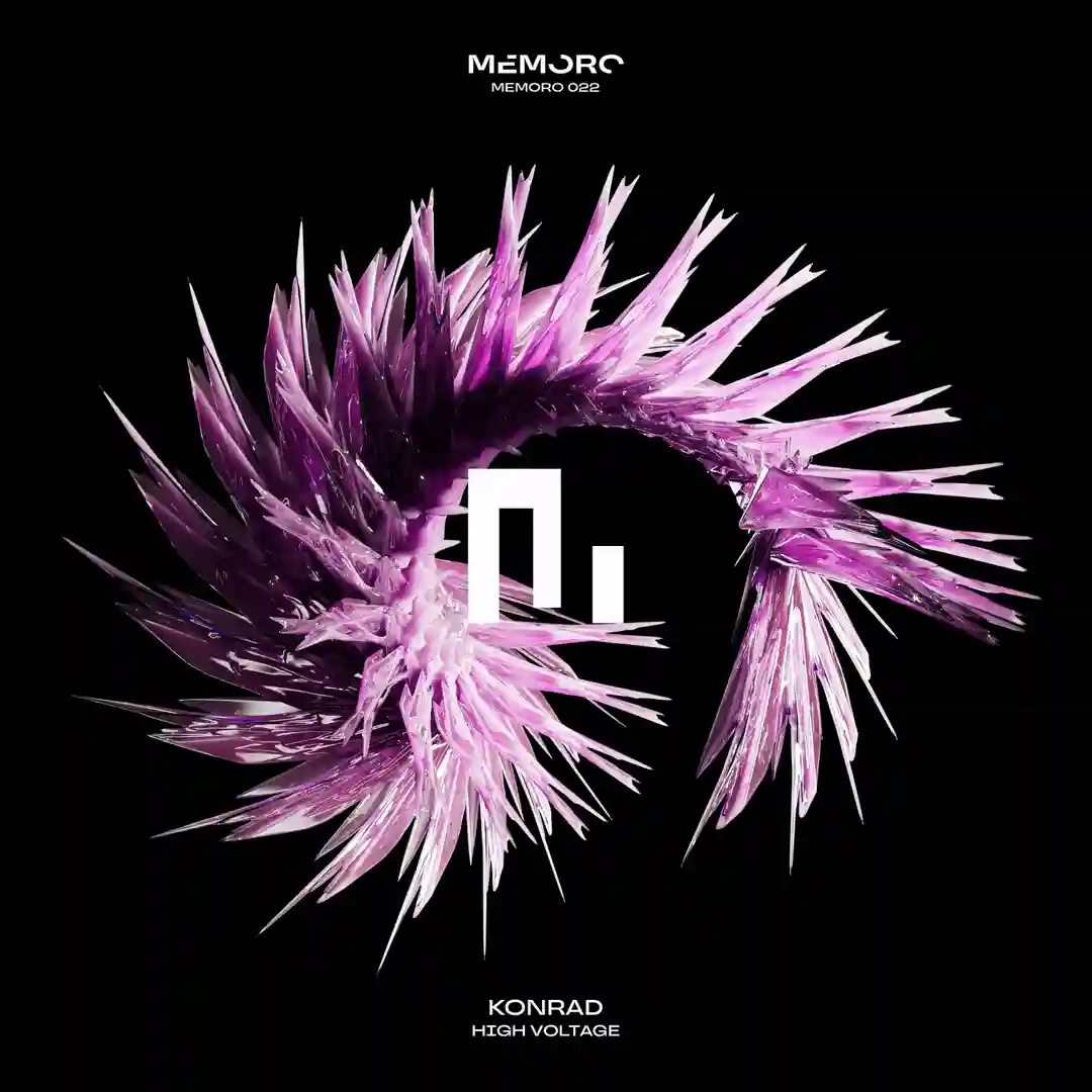 Randomize (Extended Mix) cover