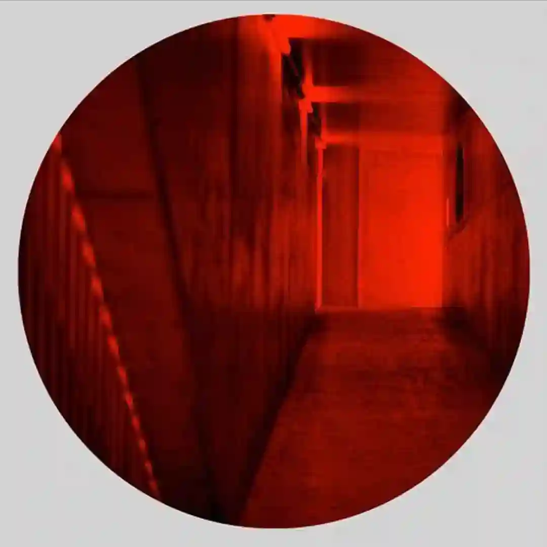 Nobody (Sleeparchive Remix) cover