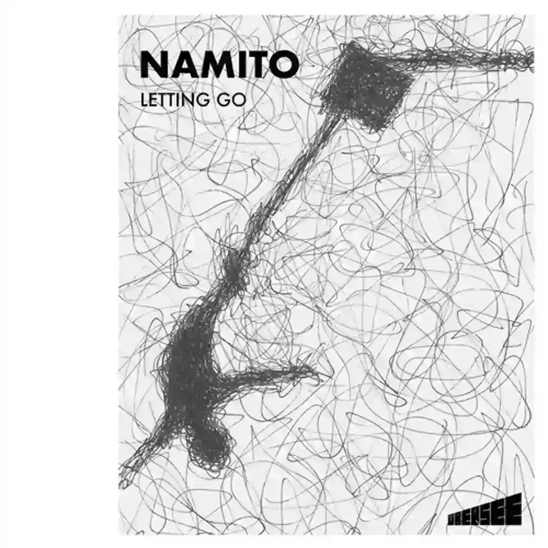Letting Go (Original Mix) cover