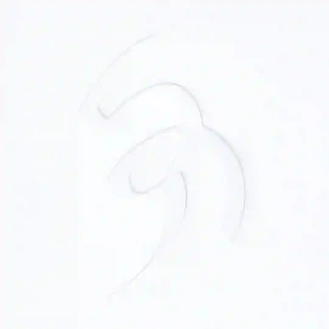 NADIR cover