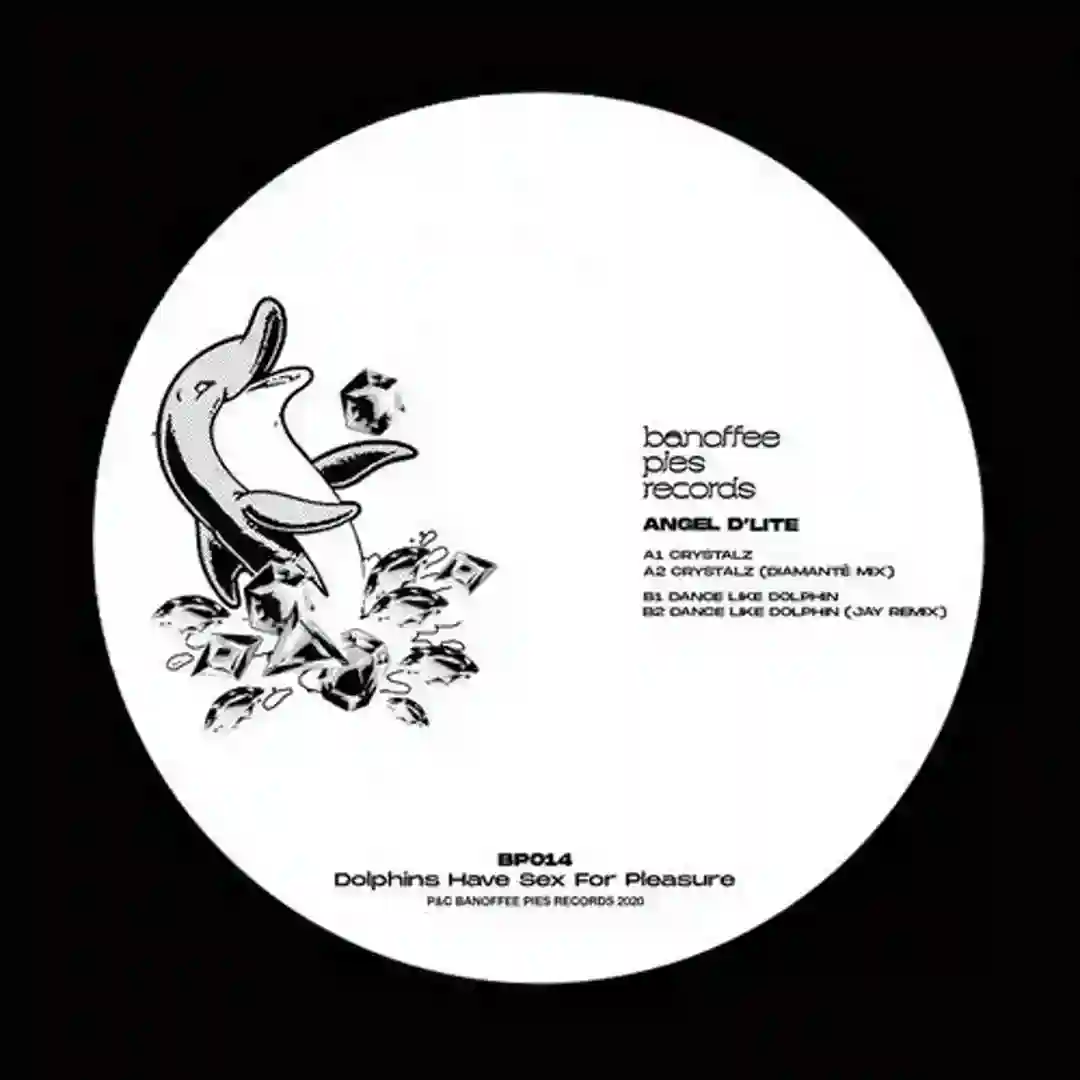 DANCE LIKE DOLPHIN (Original Mix) cover
