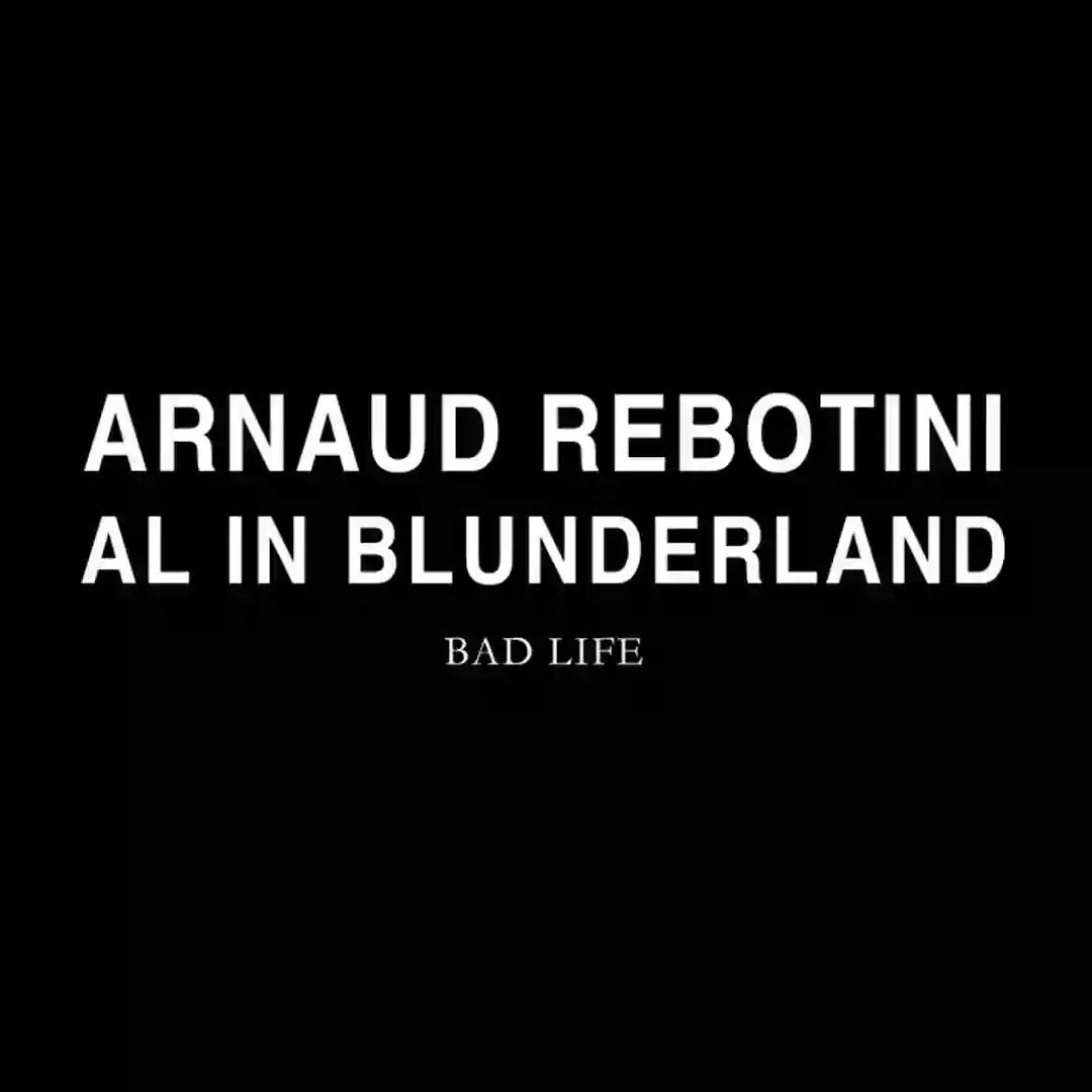Al in Blunderland cover