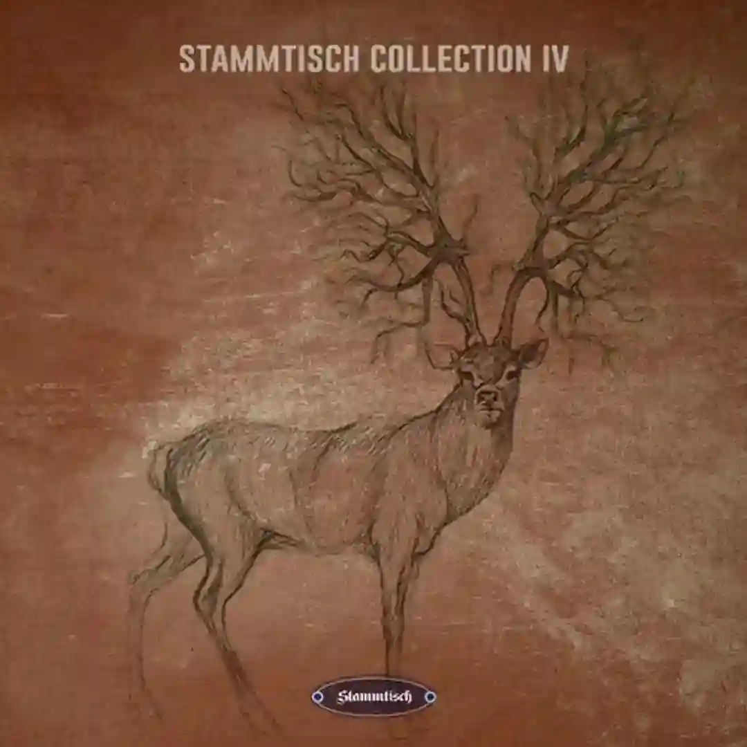 Circumvolution (Original Mix) cover