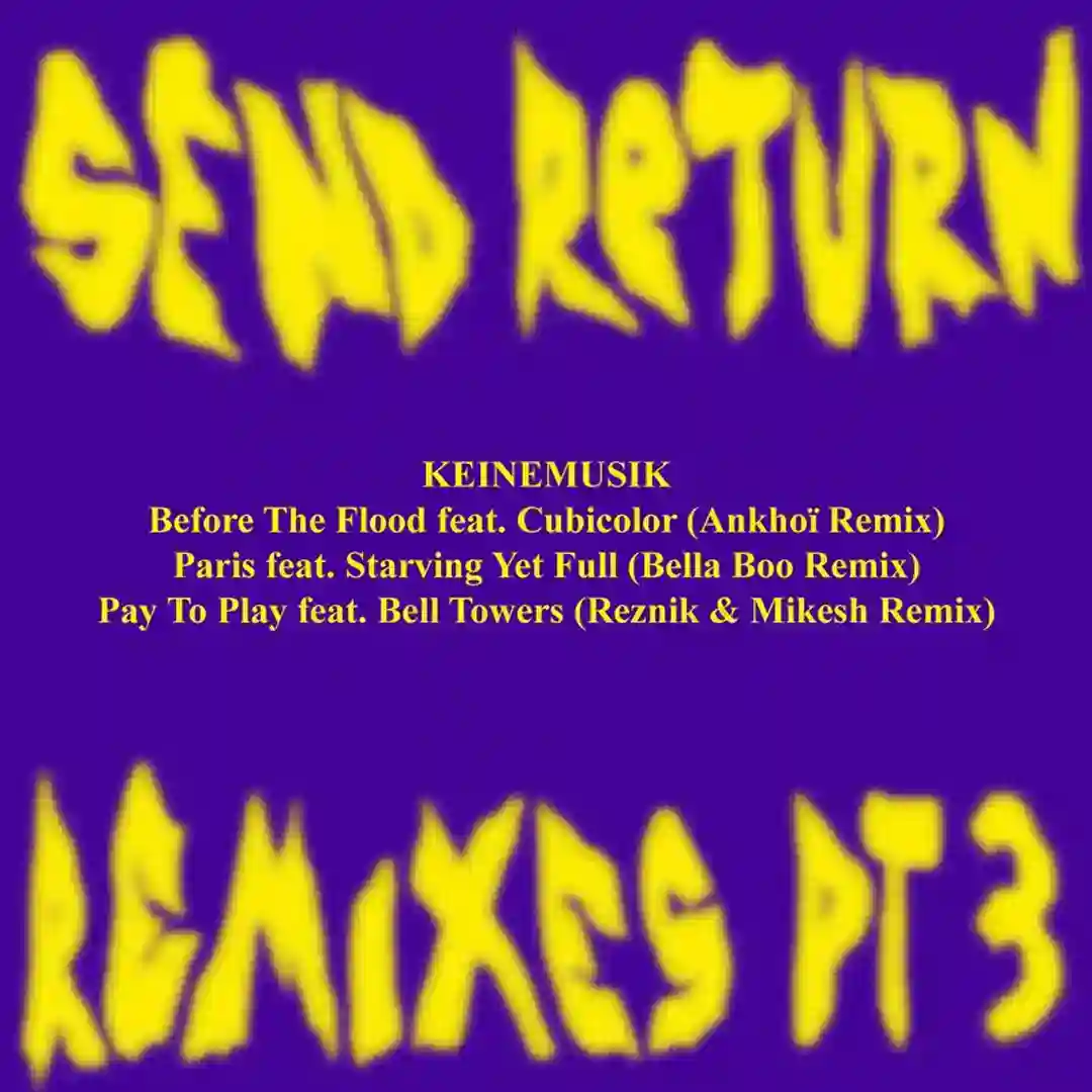 Before The Flood (Ankhoï Remix) cover