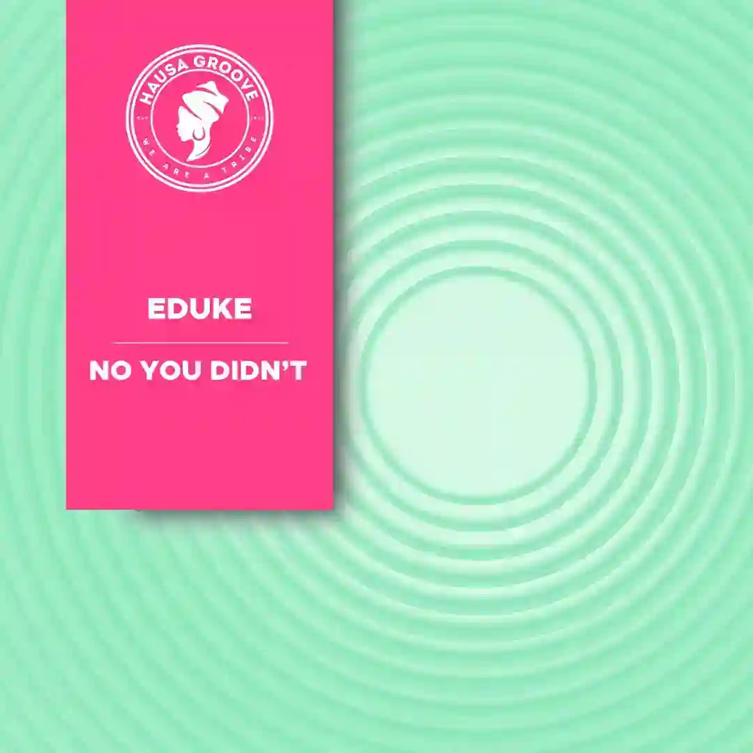 No You Didn't (Original Mix) cover
