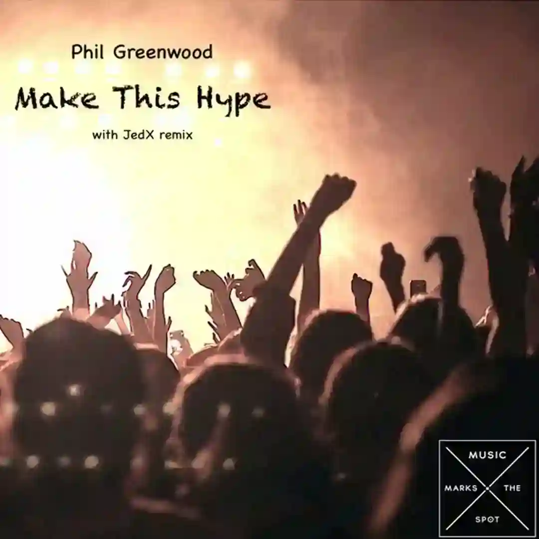Make This Hype (Original Mix) cover