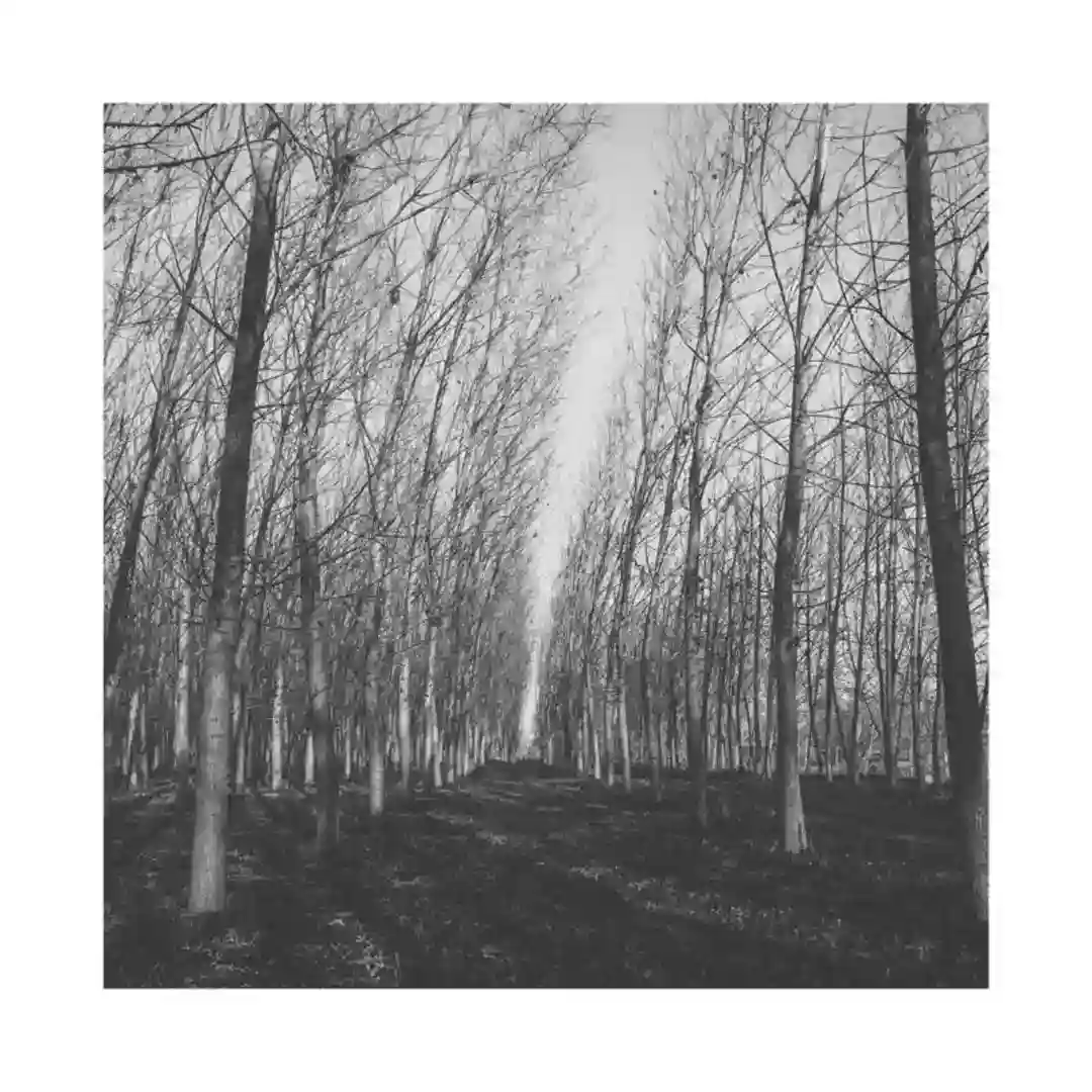 Eternal cover
