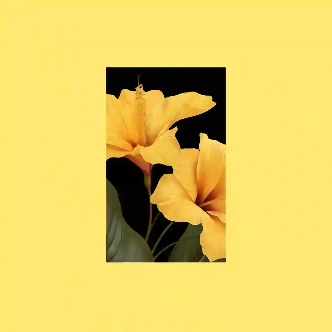 Lovin' Sun cover