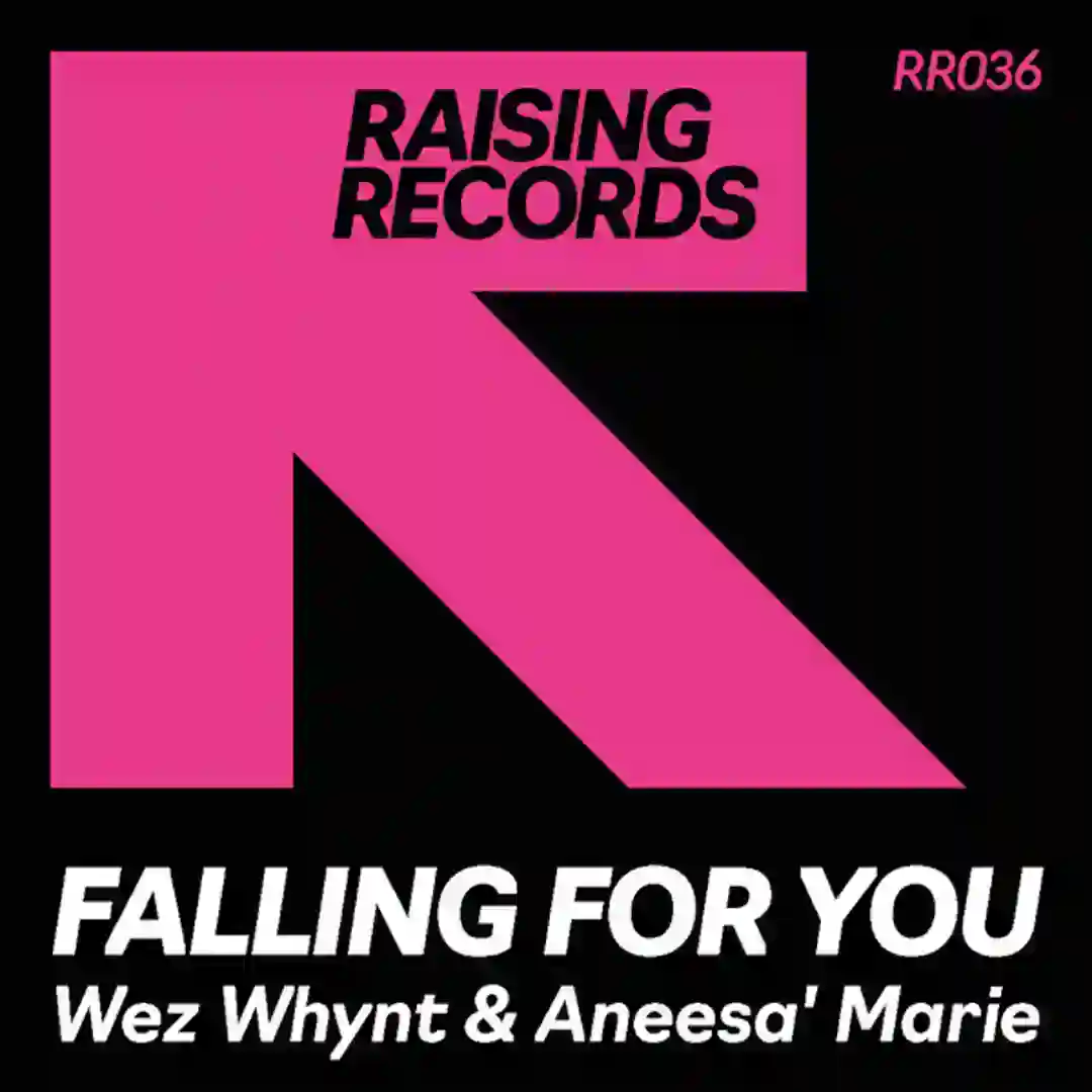Falling For You cover