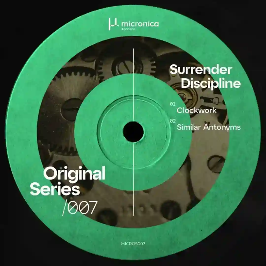 Similar Antonyms cover