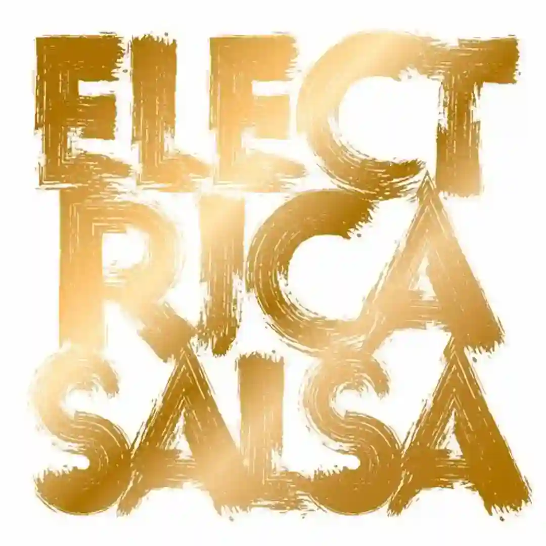 Electrica Salsa (Henrik Schwarz Dub) cover