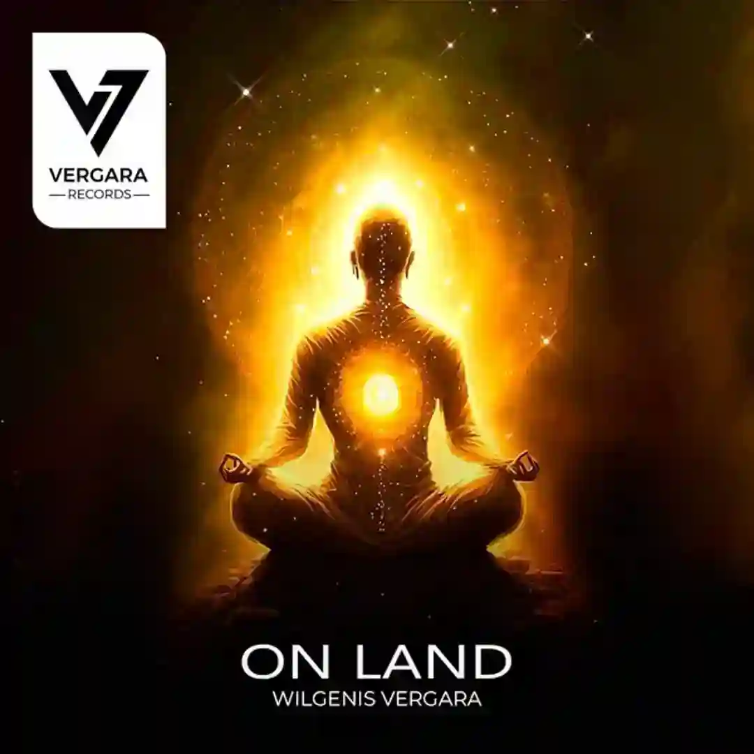 Vida (Original Mix) cover